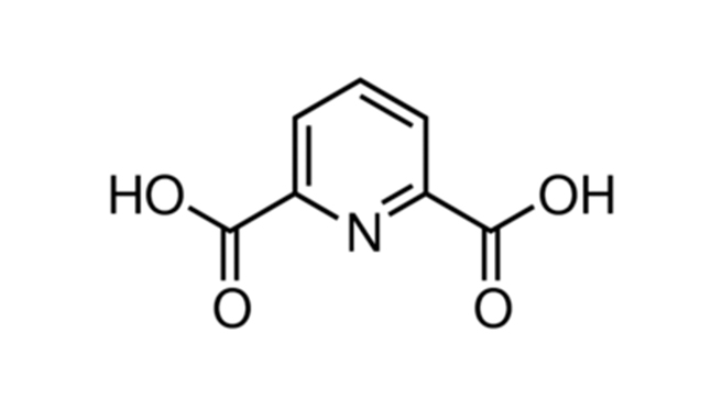 2,6 Di Picolinic Acid