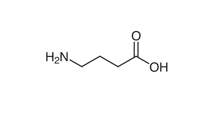 4-AMINO BUTYRIC ACID