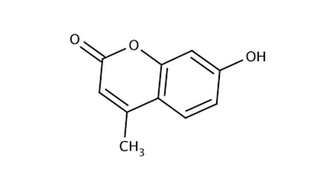 4-METHYL-7-HYDROXYCOUMRIN