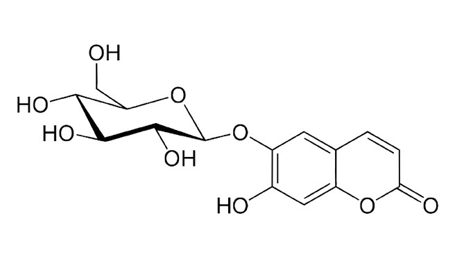 Aesculin (Esculin)