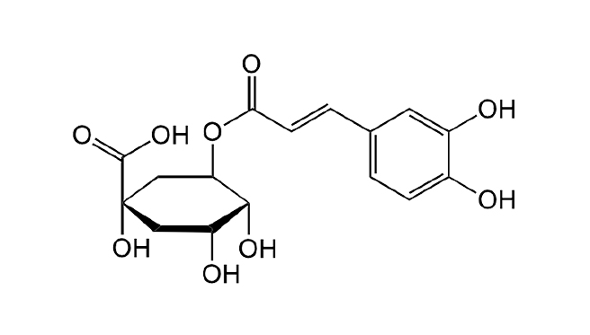 CHLOROGENIC ACID