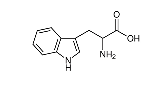 DL-TRYPTOPHAN