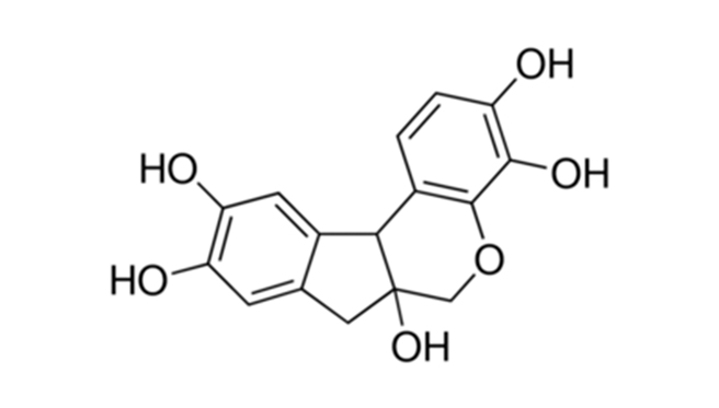 HEMATOXILIN