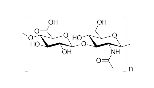 HYALAURONIC ACID