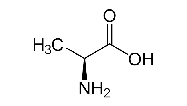 L-ALANINE