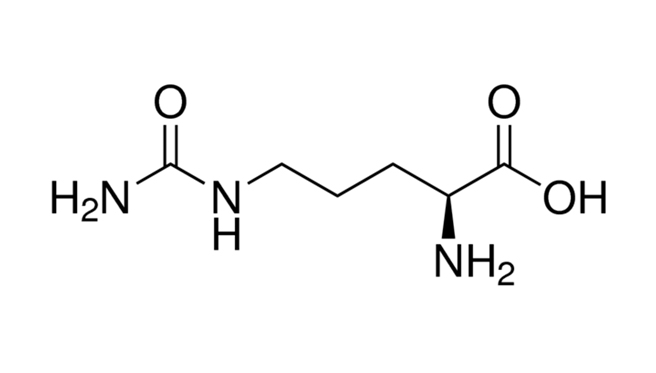 L-Citrulline