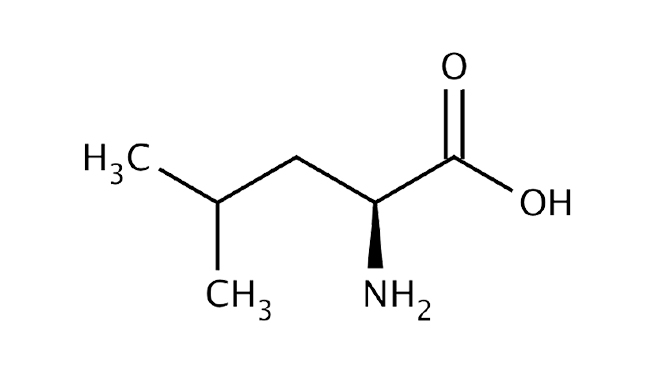 L-LEUCINE