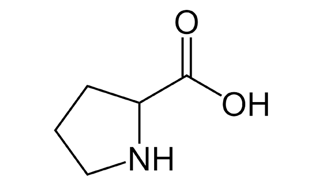 L-PROLINE