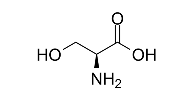 L-SERINE