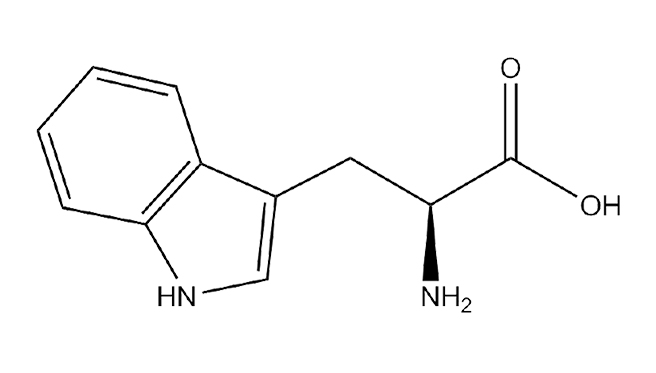 L-TRYPTOPHAN