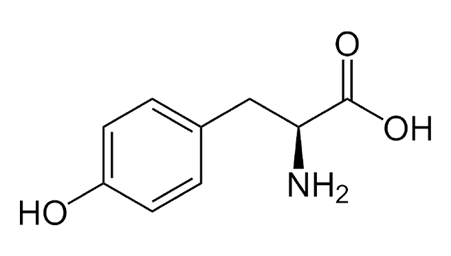 L-TYROSINE