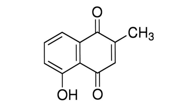 PLUMBAGIN 98%