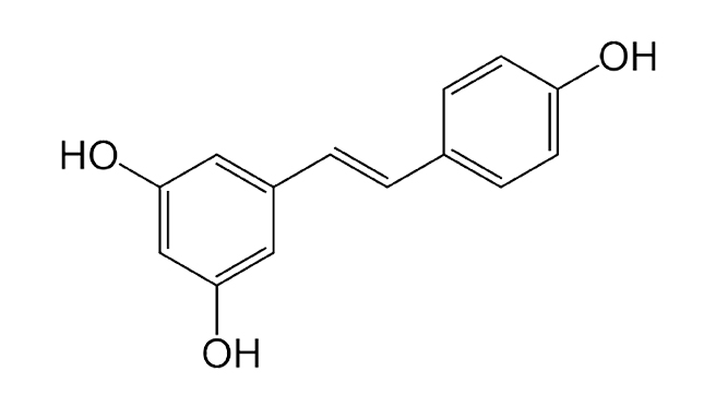 RESVERATROL 98%