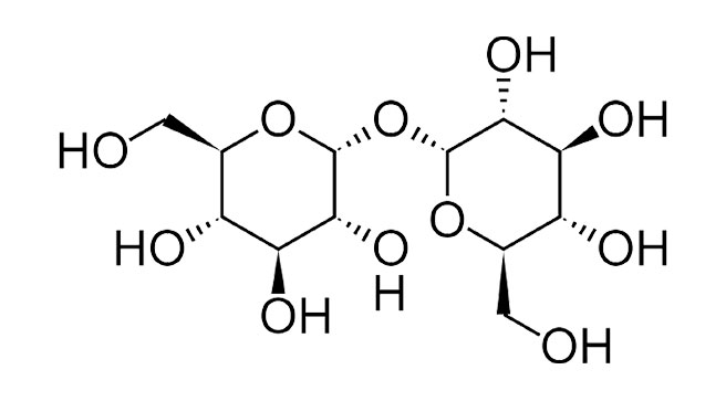 TREHALOSE DIHYDRATE