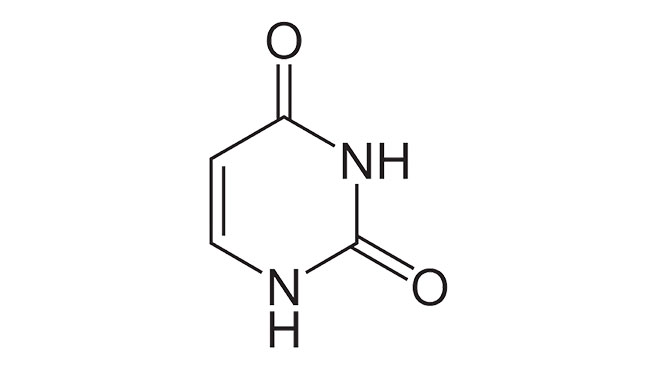 Uracil