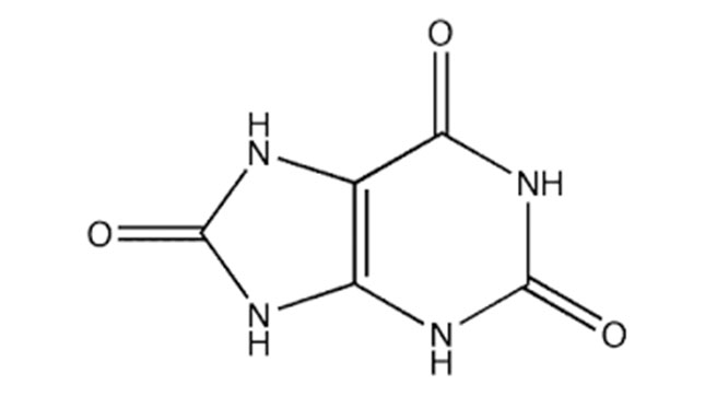 URIC ACID