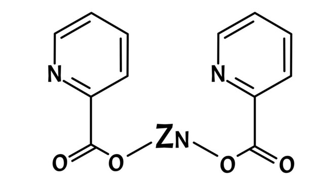 ZINC  PICOLINATE